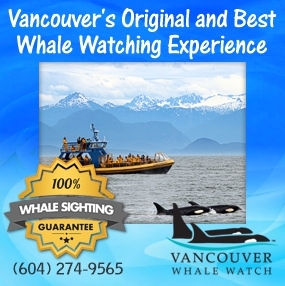 Vancouver Whale Watch