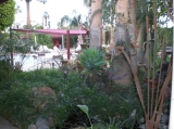 The Desert Paradise - Lush Romantic Gardens await you in Paradise