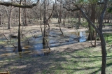 Your Back Yard - Our Cottages sit on the Cypress Creek