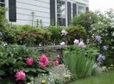 Garden - Our elegant formal gardens for your viewing pleasure.