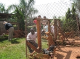 Uganda SPCA's shelter, The Haven - The Haven is truly a haven for the +/- 80 dogs and 20 cats who await a permanent home.  It is the only animal shelter in Uganda.  The USPCA also provides spay/neuter of dogs and cats in poor communities, and welcomes schoolchildren to the shelter to learn about humane care of dogs and cats.  AKI support helps cover the costs of shelter operations, including the salary of one animal caregiver.
