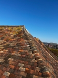 The Roof Dentist Image 6