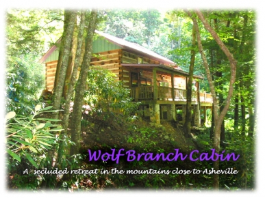 Wolf Branch Cabin