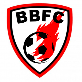 Birmingham Blaze Football Club