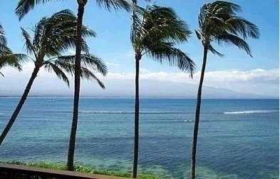 Maui Dreamin
