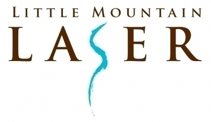 Little Mountain Laser, LLC