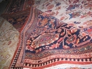 Serur's Antique Rugs