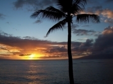 Maui Tropical Sunsets
