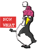 Penguin Computer Services