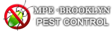 MPE - Brooklyn Pest Control